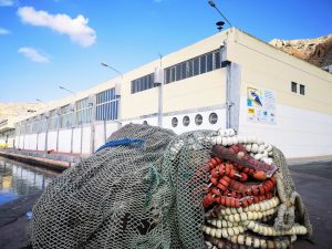 lonja-pescado_antigua_segundas-ventas
