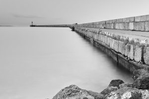 'Ojo vigía', foto de Víctor Manuel Velasco, primer premio del Concruso de Fotografía Puerto de Almería