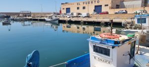 Dársena del Puerto Pesquero, donde se acometerán las obras